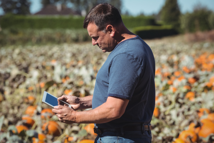 Pesquisa revela perfil do produtor rural que pede empréstimo digital