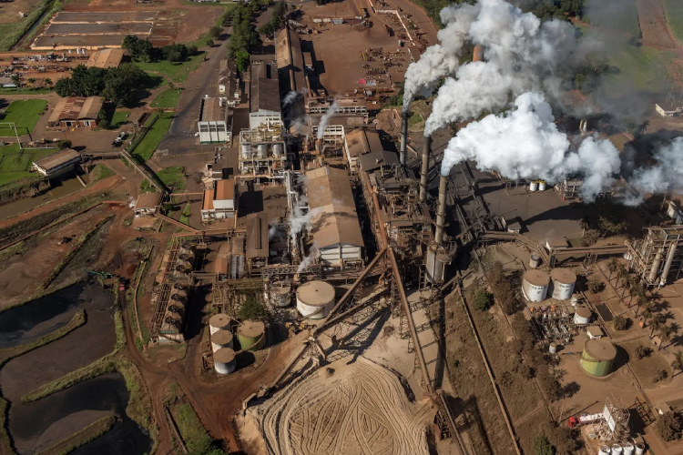 TIM e Grupo Pedra levam 4G a 1 milhão de hectares com nova parceria