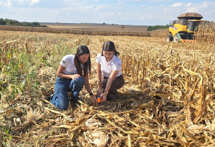 Com apoio de ferramenta digital a fazenda registra pegadas de carbono abaixo da média nacional