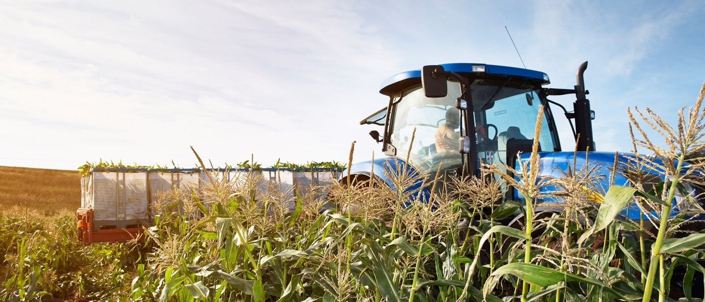 Egineering e Uisa-automatizam 95-%-da-gest&atilde;o