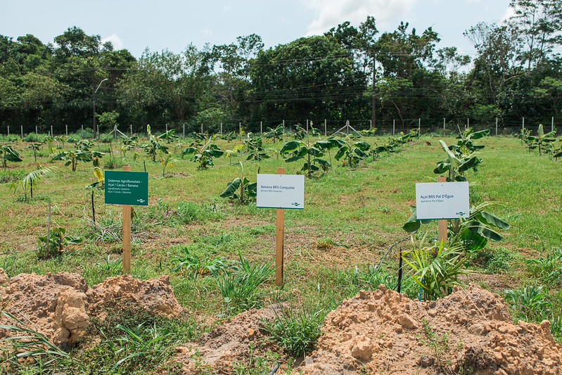 AgForest Lab-Embrapa